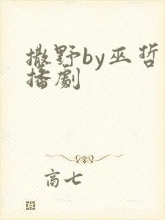 撒野by巫哲广播剧