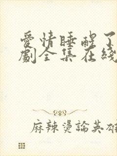 爱情睡醒了电视剧全集在线观看