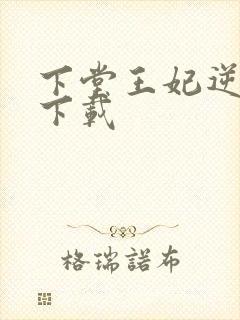 下堂王妃逆袭记下载