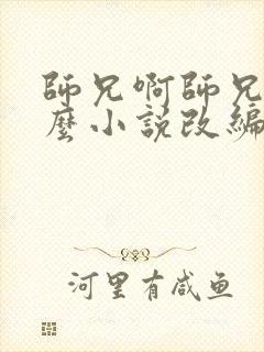 师兄啊师兄是什么小说改编的