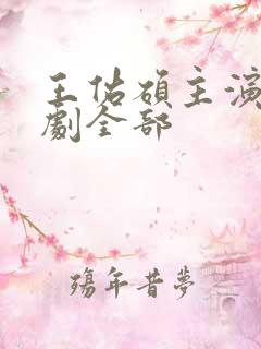 王佑硕主演电视剧全部