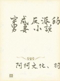 穿成反派的替身男妻 小说