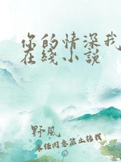 你的情深我不配在线小说