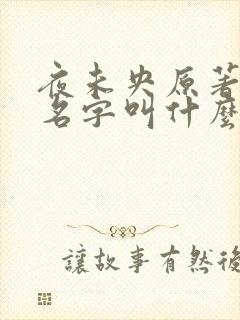 夜未央原著小说名字叫什么