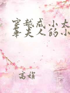 穿越成小太监芳华夫人的小说