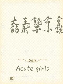 大王饶命会说话的肘子小说在线看