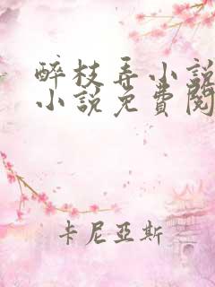 醉枝弄小说原著小说免费阅读