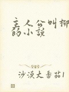 主人公叫柳无邪的小说