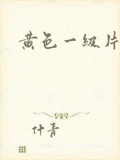 黄色一级片日皮