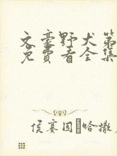 文豪野犬第三季免费看全集