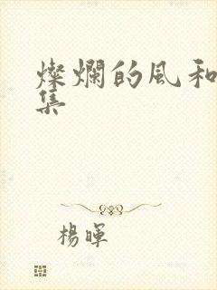 灿烂的风和海全集