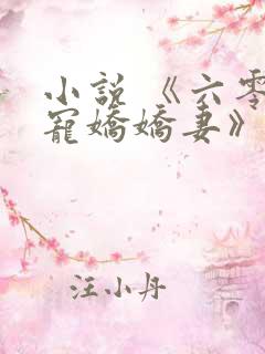 小说 《六零独宠娇娇妻》