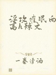 淫攻催眠向np高h辣文