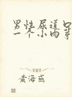 男性尿道口长了一个小肉芽