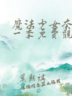 魔法少女奈叶第一季免费观看