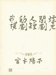 我的人间烟火电视剧短剧免费观看