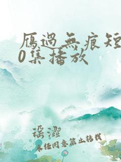 雁过无痕短剧70集播放