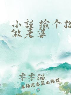 小说 捡个总裁做老婆