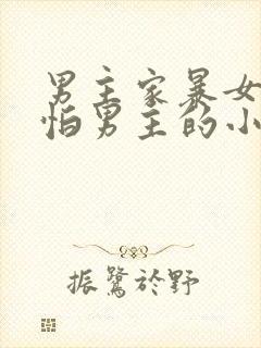 男主家暴女主很怕男主的小说