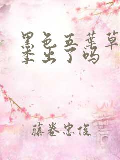 黑色五叶草第二季出了吗