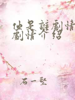 他是谁剧情分集剧情介绍