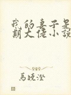 我的妻子是大乘期大佬小说免费阅读