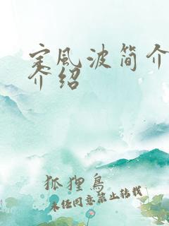 定风波简介剧情介绍