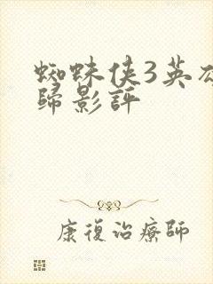 蜘蛛侠3英雄无归影评