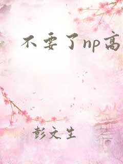不要了np高h