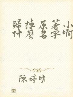 归棹原著小说叫什么名字啊