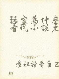 玩家为什么总是看我小说免费阅读