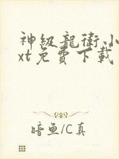 神级龙卫小说txt免费下载