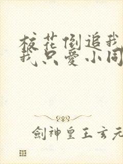 校花倒追我不要我只爱小同桌txt下载