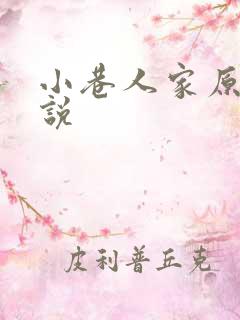 小巷人家原著小说