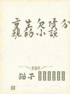 重生欠债分家断亲的小说