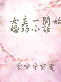 女主一开始就离婚的小说