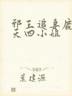 邪王追妻废材逆天四小姐