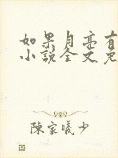 如果月亮有秘密小说全文免费阅读