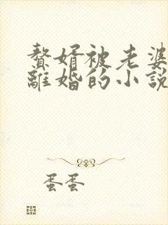 赘婿被老婆嫌弃离婚的小说