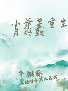 小爷是重生的望月兴叹