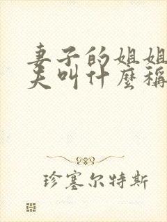 妻子的姐姐的丈夫叫什么称谓