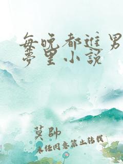 每晚都进男神的梦里小说