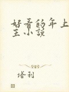 好看的年上双男主小说