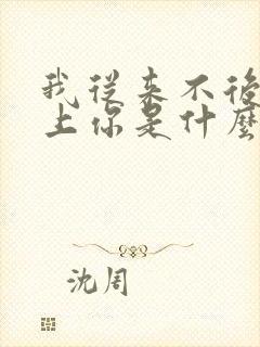 我从来不后悔爱上你是什么歌