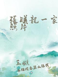 张映龙一家三口照片