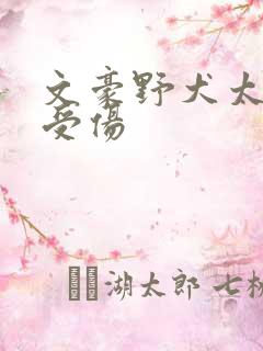 文豪野犬太宰治受伤