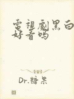 电视剧黑白禁区好看吗