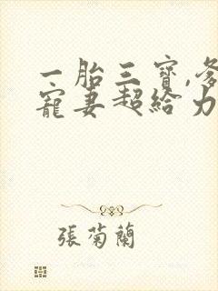 一胎三宝,爹地宠妻超给力亦小钱