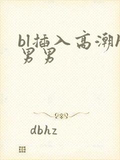 bl插入高潮h男男