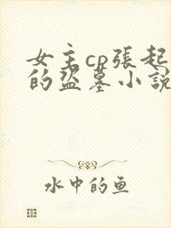 女主cp张起灵的盗墓小说